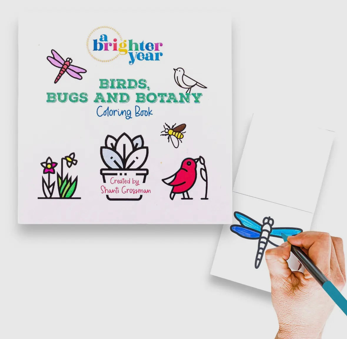Birds Bugs and Botany Mini Coloring Book